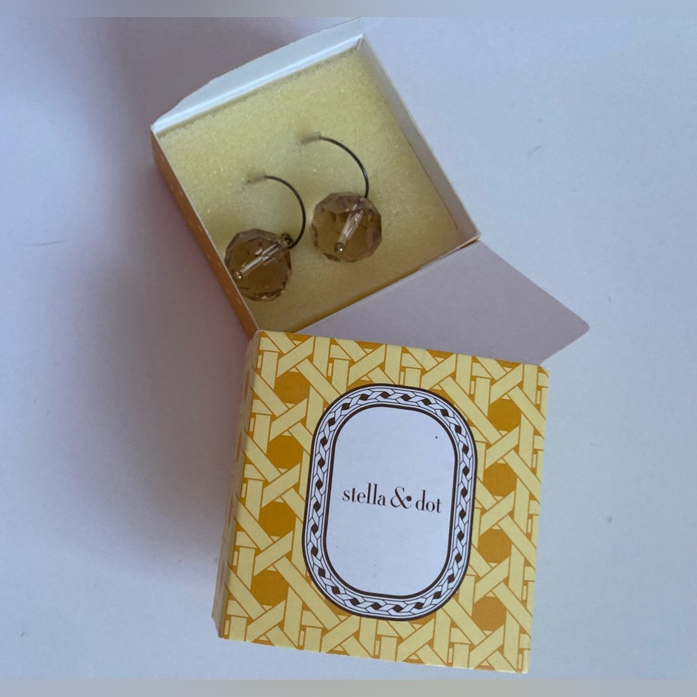 Stella & Dot Earrings